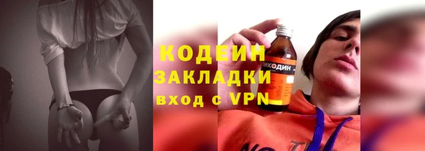прущая мука Вяземский