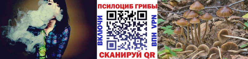 МЕГА онион  Знаменск  Галлюциногенные грибы Magic Shrooms 